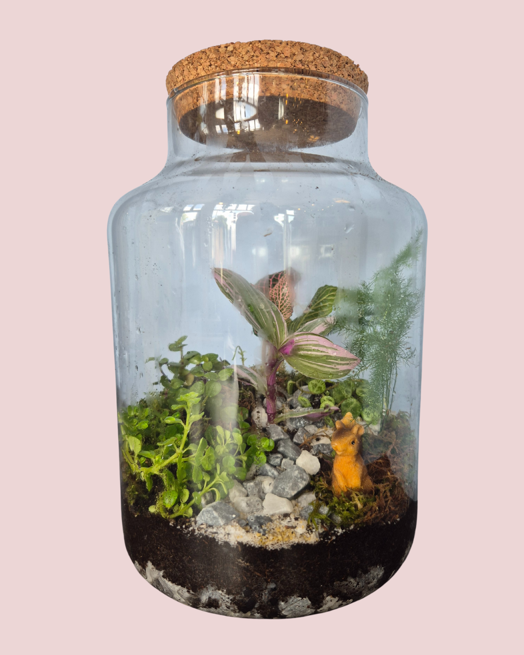 Workshop ecosysteem maken | Papaver Amsterdam